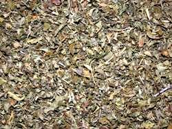 Νταμιάνα (Damiana)