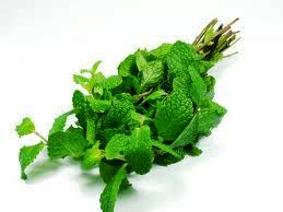 Έλαιο Χώρου Μέντα