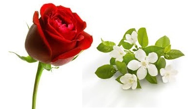 Έλαιο Χώρου Τριαντάφυλλο με Neroli