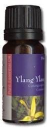 Ylang Ylang