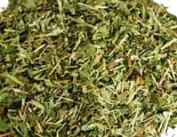 Βίνκα (Periwinkle)