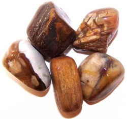 Μεγάλο Βότσαλο Απολιθωμένο Ξύλο