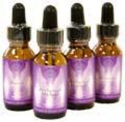 Ανθοΐαμα Αρχάγγελος Γαβριήλ