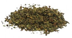 Βασιλικός (Basil)