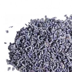 Λεβάντα (Lavender)