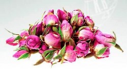 Μπουμπούκι Ροζ Τριαντάφυλλου (Pink Rosebud)