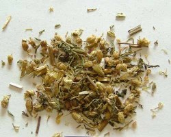 Αχίλλεια (Yarrow)