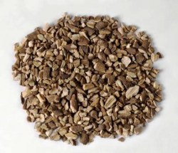 Ρίζα Παιώνια