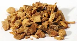 Χαυλιτζάνι (Galangal) ή Το Μάσημα του Αγίου Ιωάννη