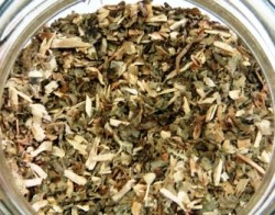 Υοσκύαμος (Δαιμοναριά)