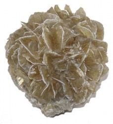 Το Ρόδο της Ερήμου