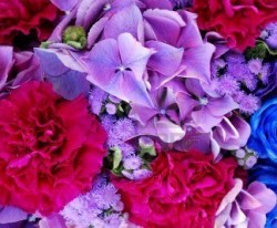 Έλαιο Χώρου Βιολέτα & Τριαντάφυλλο