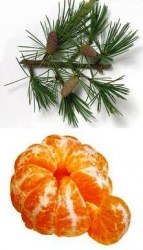 Έλαιο Χώρου Κέδρος με Μανταρίνι