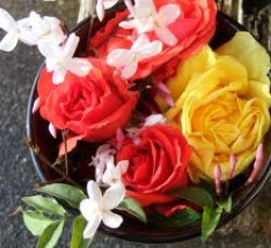 Έλαιο Χώρου Γιασεμί με Τριαντάφυλλο