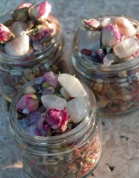 Ζωδιακά Λιβάνια