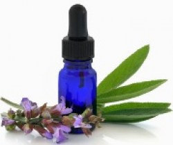 Αντικουνουπικό Μείγμα Αιθέριων Ελαίων