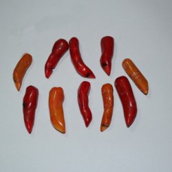 Νύχι της Μάγισσας